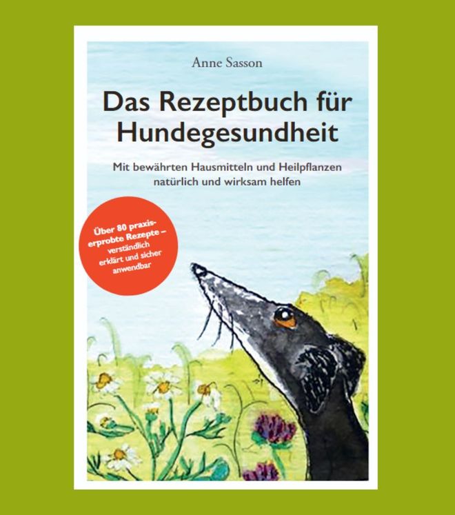 Das Rezeptbuch für Hundegesundheit