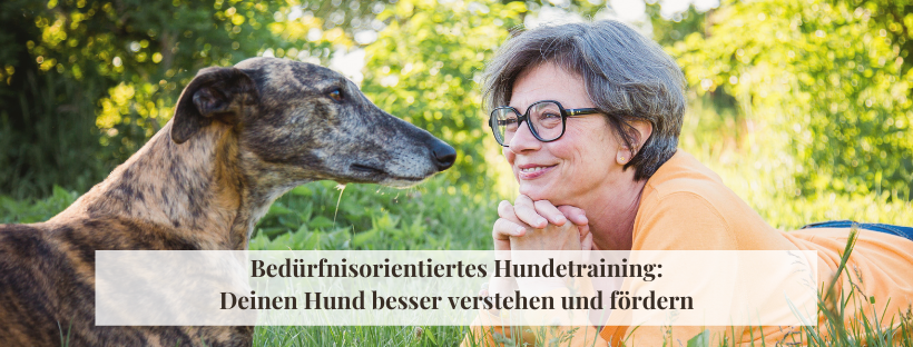 Bedürfnisorientiertes Hundetraining: Deinen Hund besser verstehen und fördern