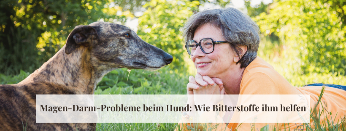 Magen-Darm-Probleme beim Hund: Wie Bitterstoffe ihm helfen