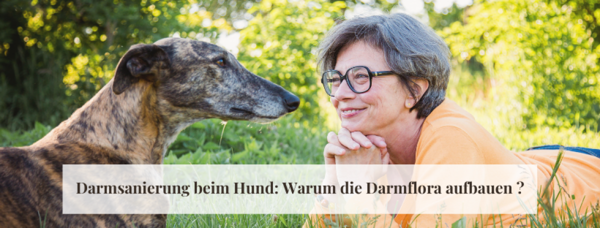 Darmsanierung beim Hund: Warum die Darmflora aufbauen?