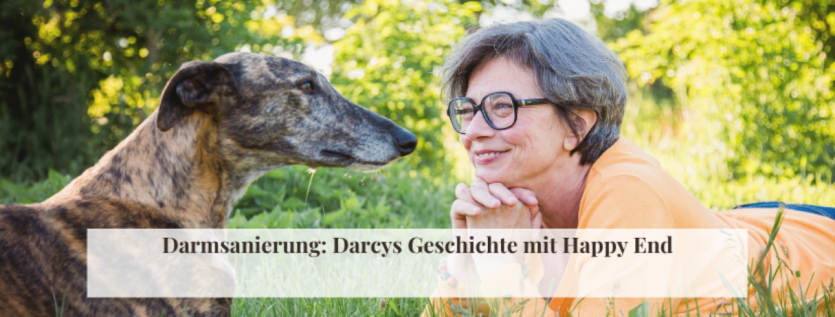 Darmsanierung Hund - Darcys Geschichte mit Happy End