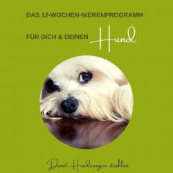 Das 12-Wochen-Programm für dich und deinen Hund