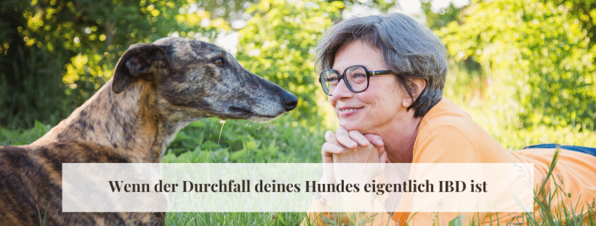 Wenn der Durchfall deines Hundes eigentlich IBD ist