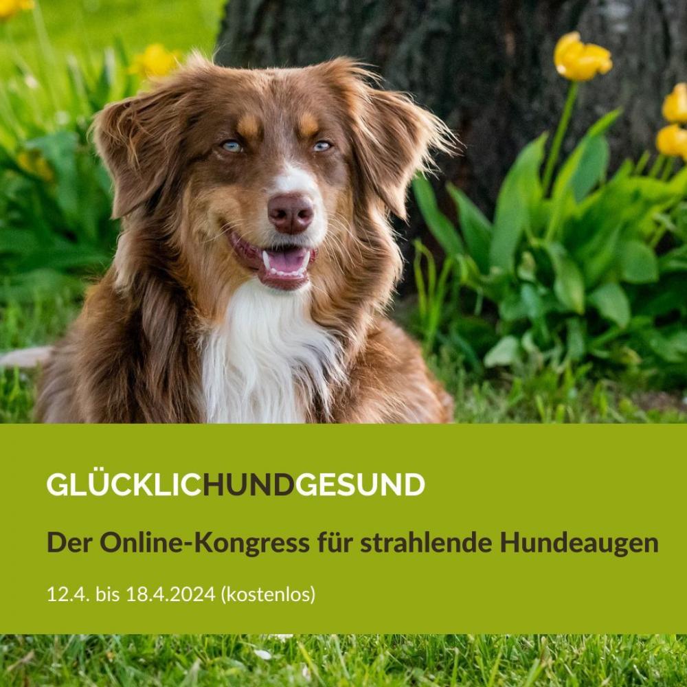 GlücklicHundGesund - Der Online-Kongress für strahlende Hundeaugen