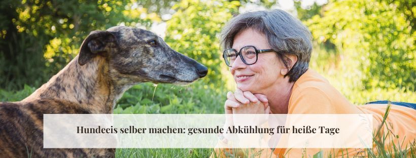 Hundeeis selber machen: gesunde Abk&uuml;hlung f&uuml;r hei&szlig;e Tage