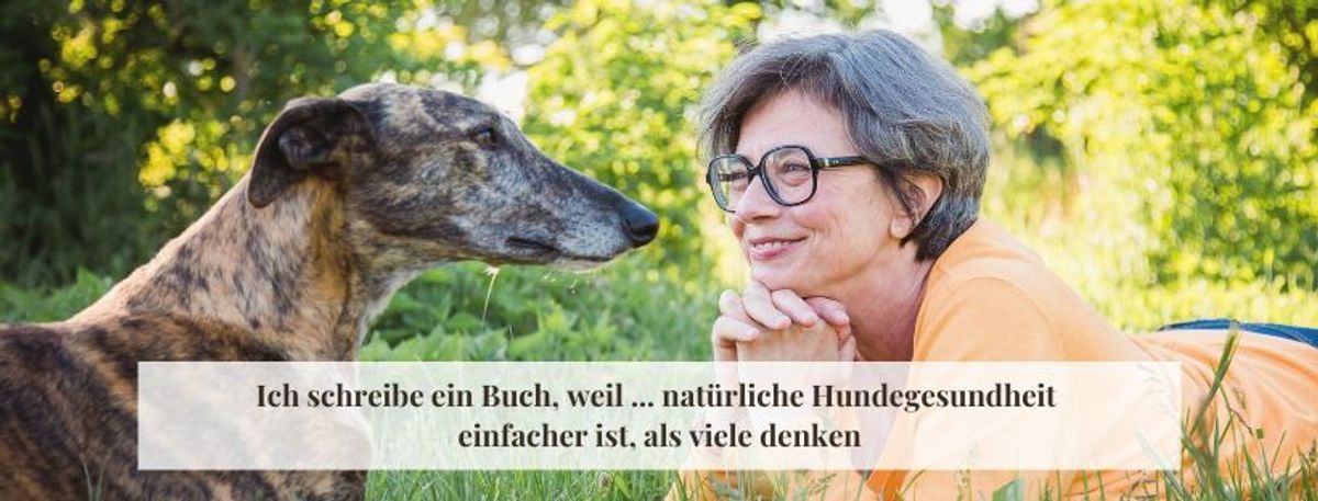 Fr&uuml;hjahrs-Allergien bei Hunden