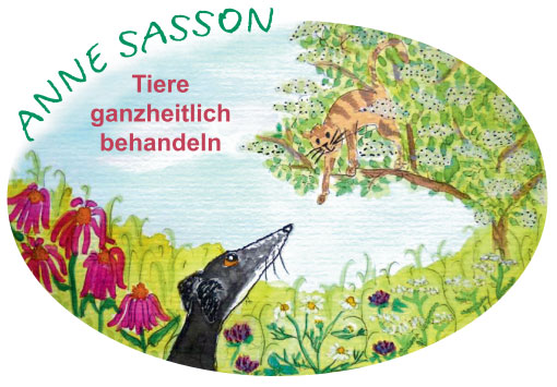 Tierhomöopathie Berlin Anne Sasson