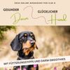Gesunder Darm, Glücklicher Hund